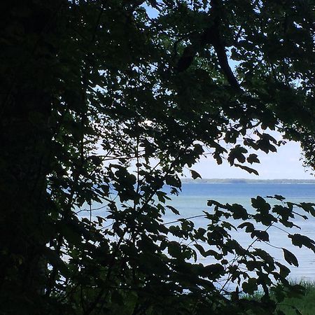 Lindegaardapartment - Woods And Sea Hejls Bagian luar foto