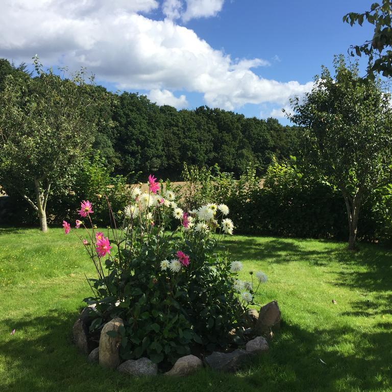 Lindegaardapartment - Woods And Sea Hejls Bagian luar foto